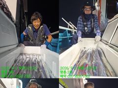 (14석통영명륜3호)굵은 씨알로 손맛 보고 왔습니다 쿨러구경 고생하셨습니다(계속예약가능)