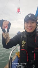 [루시호]9/2 쭈꾸미 나오기 시작 합니다