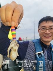 9/2일, 군산 쭈꾸미 오늘 제대로 나오고 있어요~군산 포세이돈…