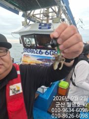 9/2일,  재미있고 맛있는 쭈꾸미낚시~오늘 잘 나오고 있어요~…