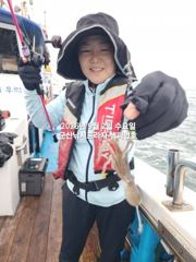 9/2일, 남녀노소 누구나 재미있고 맛있는 쭈꾸미낚시~오늘 잘 …