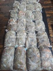 [군산] 9월1일 초대박 조황 17명조사님들 ..장원33수 군산 홈런호 …