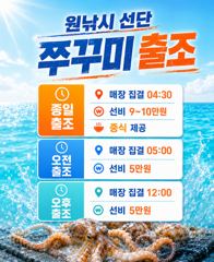 발키리호 쭈꾸미 오전 실시간 조황(2일)
