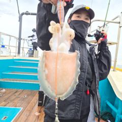9월 2일 신진도 어해루호 쭈꾸미조황
