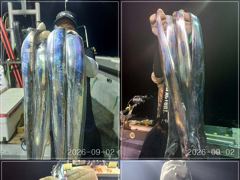 [통영] [VIP 광명호] 태풍 지나 기상 좋아지는 13일(일) 부터~ …