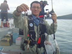 오늘의 조황 - 9월2일쭈구미조황 - 오천항 30년 출조, 대박 선장이 운영하는 서해바다낚시에 오신걸 환영합니다.