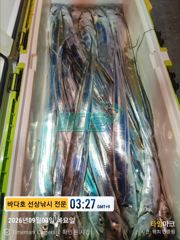 9월 2일 조황 모음 입니다 사진