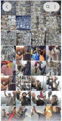 출조안내 - /////(부천,안양,의왕 경유) 군산 쭈꾸미 개막___오늘밤 출발 9.3(목) 임마뉴엘호 급3석___8(화)대호피싱 급5석___10(목),12(토) 쭈꾸미/문어 자리여유___예약 ☎️ 010-3611-2672 사진