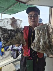 쭈꾸미조황 사진