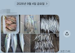 1   [마산] 마산 원전 선상낚시터 목요일 야간 조황 1