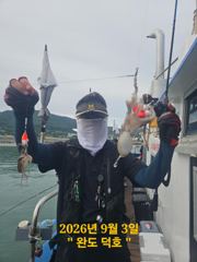 완도덕호 9.8 쭈꾸미 출조모집 사진