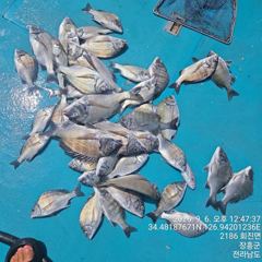 장흥은희호 카고낚시 010-3636-6171 사진