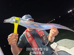 6일 입항 내만갈치 담배갑 사이즈까지 엄청 잡았습니다. 월요일부터 예약가능. 사진