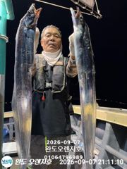 완도오렌지호//7일4~5지 쿨러가득 담고왔습니다 사진