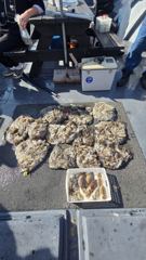 출조조황 - 9윌9일영암호 쭈꾸미조황 - 영흥도 경영배낚시 사진