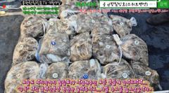 9월9일 홍원항힐링호 쭈갑 조황~!오늘은 가는곳 마다 시원시원하게 나오질 않아서 이동이 잦았네요.제가 너무 욕심을 부렸나봅니다.장원300수오바~조과 차이가 좀있네요.수고많으셨니다~ 사진