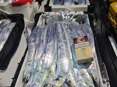 (南)남해조황 - 우와~10일새벽 내만갈치 연일 초초대박~!!전원 만쿨~쿨러넘쳐~!!(오늘 예약중) 사진