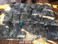 출조안내 - {통영호반호} 먼바다갈치 내일 여유~ 사진