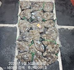 루어파이터호-9/10 수 [5물] 쭈꾸미/갑오징어 조항 입니다. 사진