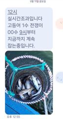 [마산] 마산 원전 선상낚시터 주간 실시간 조황