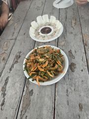 찌낚시조황 - 버글버글 감성돔 사진