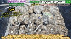 9월11일 홍원항힐링호 쭈갑 조황~!대사릿물에 쭈꾸미 괜찮네요^^부부조사님들은 올리신거보다 떨군게 더 많으시네요 ㅋㅋ 다음에 오시면 두배는 더 잡으실듯 ㅎㅎ장원240수오바~ 사진