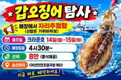 <뉴오리온호> 쭈꾸미낚시 실시간조황(12일) 사진
