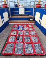쭈갑조황 글만 보기 사진