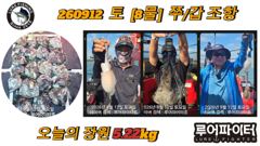 쭈.갑 먹물조황+ - 9/12 홍원항 블랙펄호 쭈꾸미 조황 사진