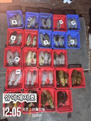 [팁런] 감자는 가라 "싸이즈""굿",마리수 (일요일,출항) 사진