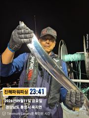 [갈치/텐빈/텐야]긴휴식끝!!~2.5~3지오버까지 쿨러조황[월.화]예약가능 사진