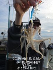 대호피싱 17분 독배 14분의 임대 낚시대 하지만 스파르타식 강습으로 쭈꾸미 느나느나 사진