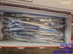 완도파랑새호 9월13일 갈치 철수 조황입니다. 사진
