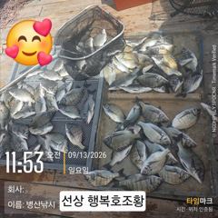 병산 9/13감성돔38외 엄청마리수 선상배및 선외기 흘림조황~~ 사진