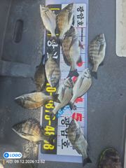[마산] 진동(광암호)감성돔.문어출조합니다 사진