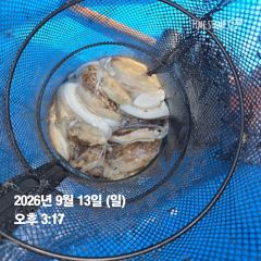 [전투피싱 그레이스호] 9물에도 갑·쭈 제대로 나왔습니다! 사진