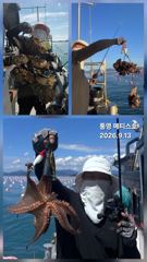 통영] 문어 사량도 굴어장 조황 13일(일) 통영 메티스호 사진