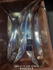 대박...대박입니다. 초저녁부터 꾸준한 입질이 사고를 쳤습니다. 1인 2쿨러조황까지.. 쿨러뚜껑이 안닫히는 상황.. 만쿨도장 쾅쾅., 오늘 자리여유 사진