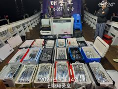 [진해] 14일 입항, 내만갈치 정신없이 바쁘게 잡았습니다. 오늘 예약… 사진