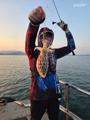 부안골드피싱호 9/14 갑오징어 조황입니다. 사진