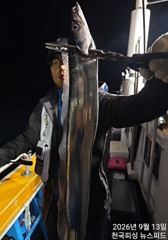 오늘3분예약가능준내만4지4지씨알급쭉쭉 사진