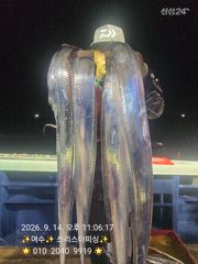 [여수,광양] <<<<여수 쓰리스타호>>> 사진