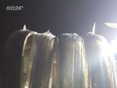 [통영최강리드호] 왕갈치 실시간 조황/씨알 좋습니다 사진