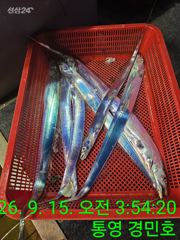 [통영] 15일 갈치조항 갈수 있을때 가자 오늘도 출항 사진