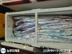 뉴무지개 왕갈치 굵은놈으로 많이잡았습니다 사진
