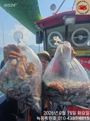 [고흥,녹동] 문어 중다마 잘나오네요 사진