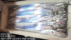 제주에이스호!!(9월14일) 대갈치 사냥다녀왔습니다010 35483472~0103860 3860{9.77톤22인승12석운)청결은보장 사진