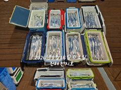 [진해] 내만갈치 쭉 쭉 호조항 이어지고~~~예약가능 사진