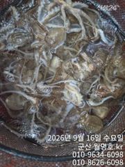 [군산] 16일 오전반 사진