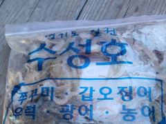 평택항 수성호 9월 15일 쭈갑 조황입니다 사진